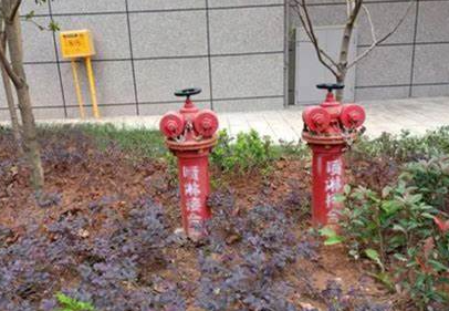 1740021373614813.png image.png